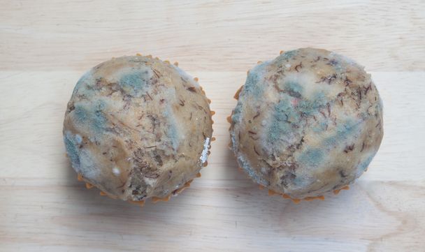 Banana cupcake with mold fungus - Photo, Image