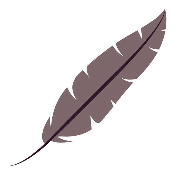 Design de plumas de penas isoladas
 - Vetor, Imagem