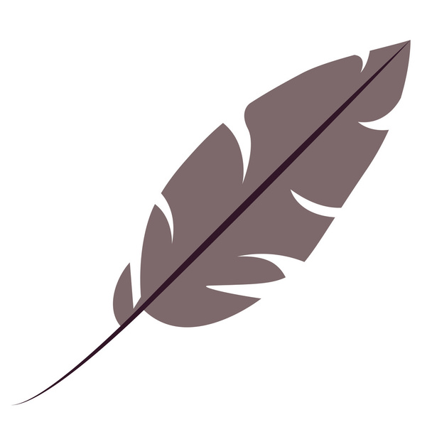 Isolated feather plume design - Vector, Image