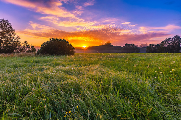 Lebendiger Sommersonnenaufgang über neblig-magischer Wiese - Foto, Bild