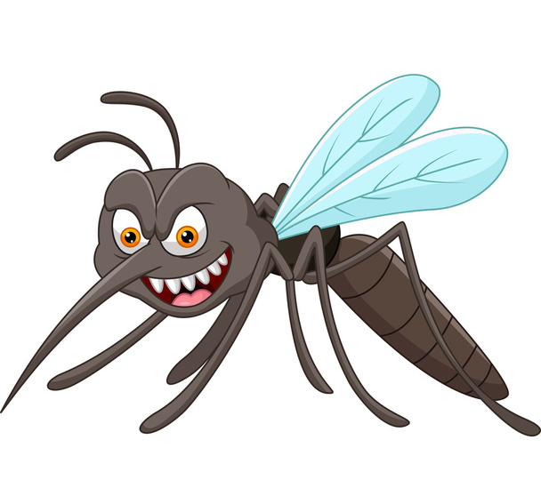 Mosquito de peligro de dibujos animados sobre fondo blanco
 - Vector, Imagen