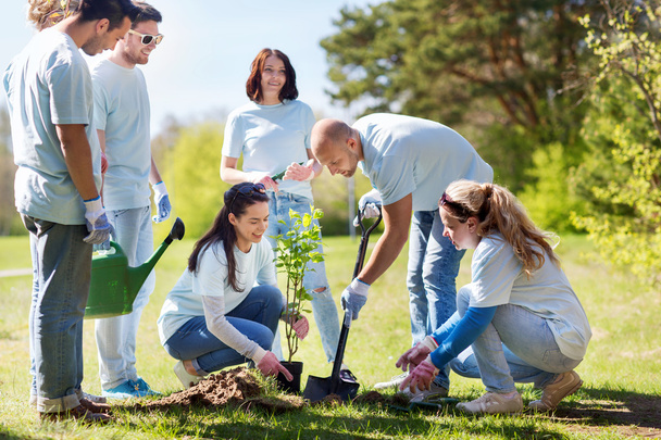 group of volunteers planting tree in park - Zdjęcie, obraz