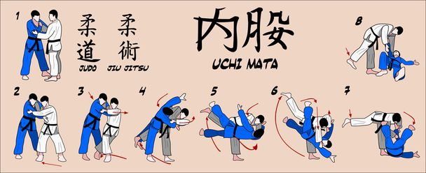 Judo-Innenbandriss im Oberschenkel - Vektor, Bild