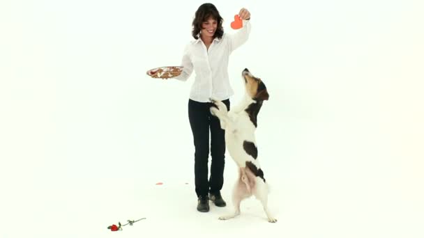 Gioca con un cane a San Valentino
 - Filmati, video