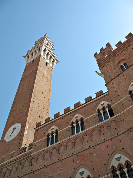 Siena Torre Mangia - Fotografie, Obrázek