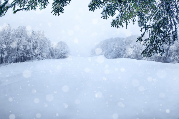 Beautiful snowy landscape - Φωτογραφία, εικόνα