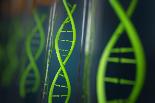 3D-kuva DNA-molekyylin lasimallista
. - Valokuva, kuva
