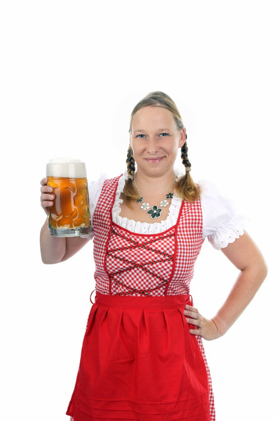Munich beer festival - Photo, image