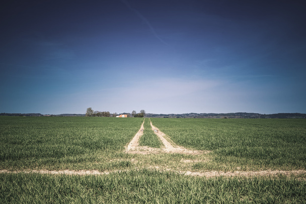 Countryside field with tire tracks - Photo, Image