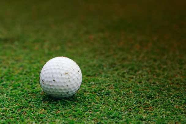 мяч для гольфа на траве - Фото, изображение