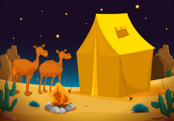 kamelen en tent - Vector, afbeelding