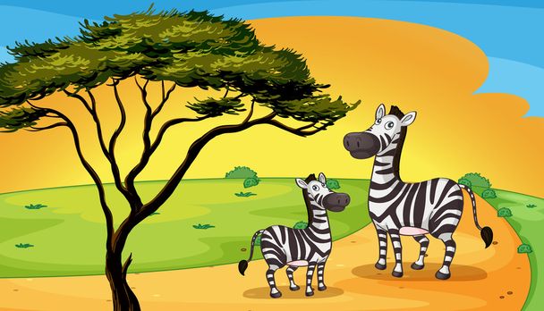 twee zebra onder boom - Vector, afbeelding