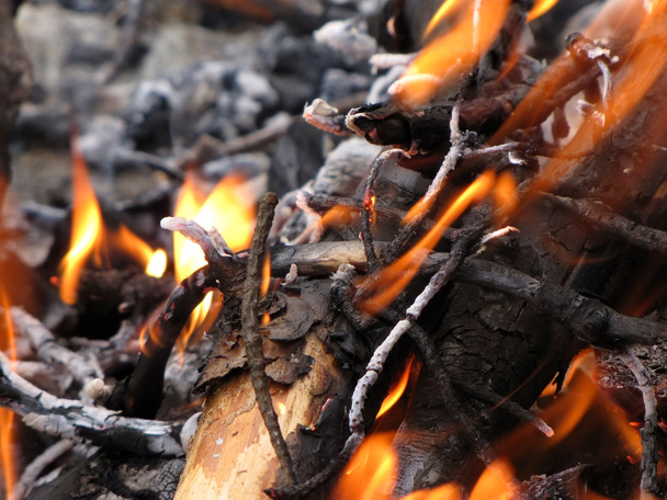 Campfire - Foto, Bild