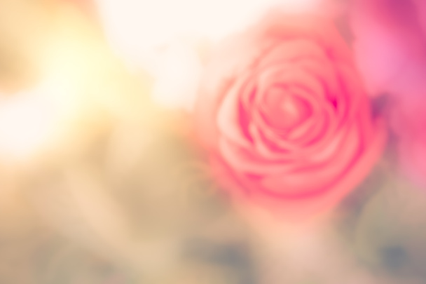 Desenfoque de la rosa
 - Foto, imagen