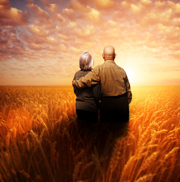 Couple âgé debout dans un champ de blé au coucher du soleil
 - Photo, image