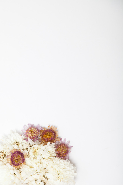Gedroogde bloemen op wit - Foto, afbeelding