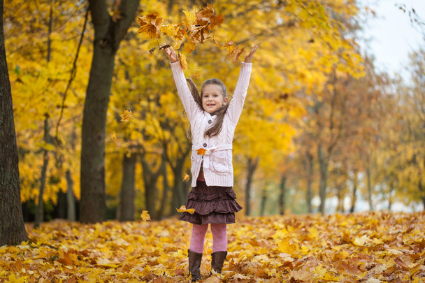 молода дівчина в осінньому парку
 - Фото, зображення