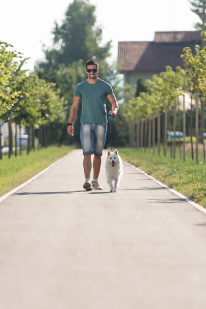 Young Man And Dog Walking On Park - Fotoğraf, Görsel