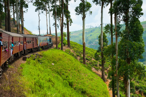 Riding by train in Sri Lanka - Фото, зображення