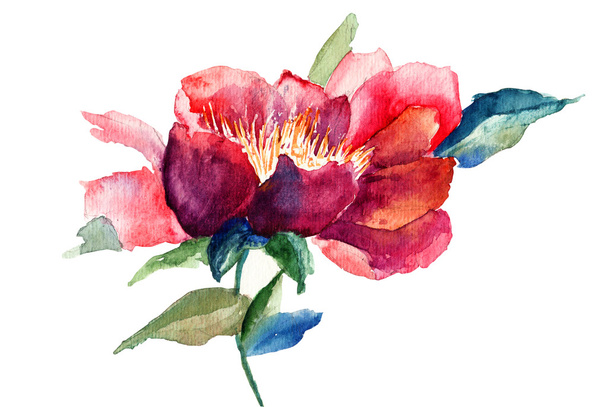 Decorative red flower, watercolor illustration - Foto, afbeelding