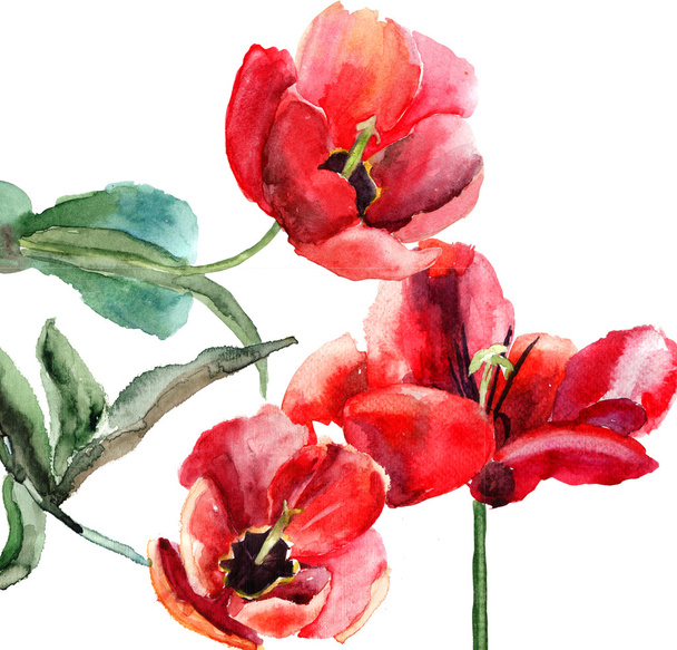 Beautiful Tulips flowers, Watercolor painting - Valokuva, kuva
