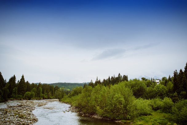 гірська річка влітку
 - Фото, зображення