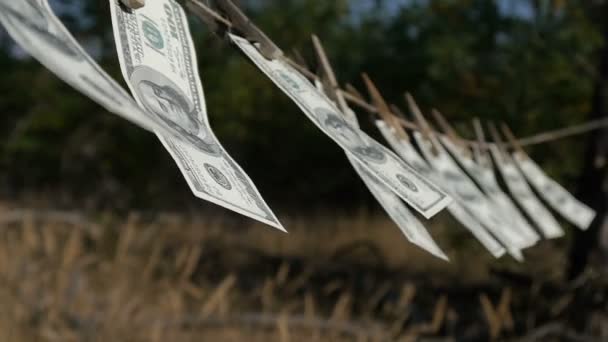 Drying Dollar Banknotes - Materiaali, video