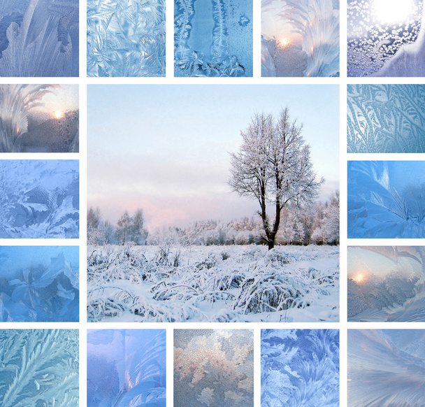 Winter collage - Photo, Image