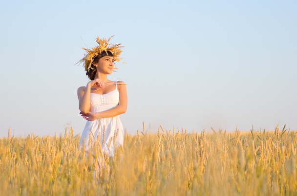 Девушка на пшеничном поле - Фото, изображение