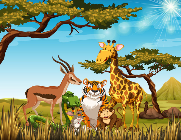 Wild animals in the savanna field - Vector, Image
