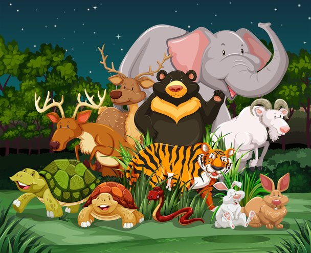 Different types of wild animals in park - Vector, Image