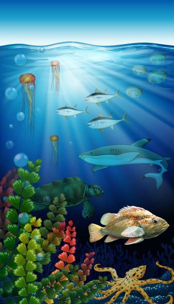 Meren alla elävät eläimet
 - Vektori, kuva