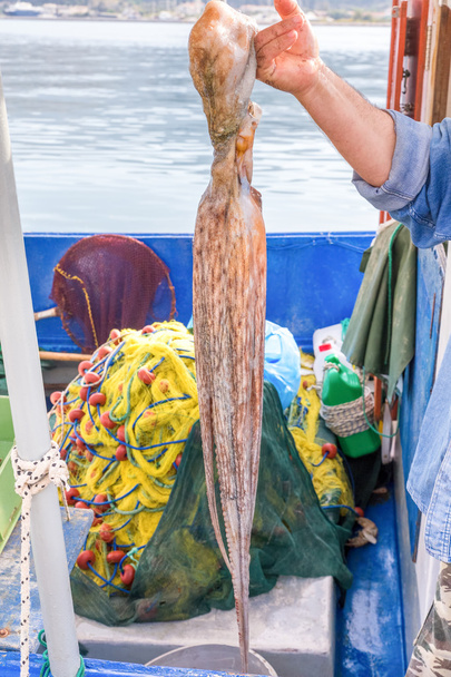 ARM zobrazeno předsazení chobotnice na rybářské lodi - Fotografie, Obrázek