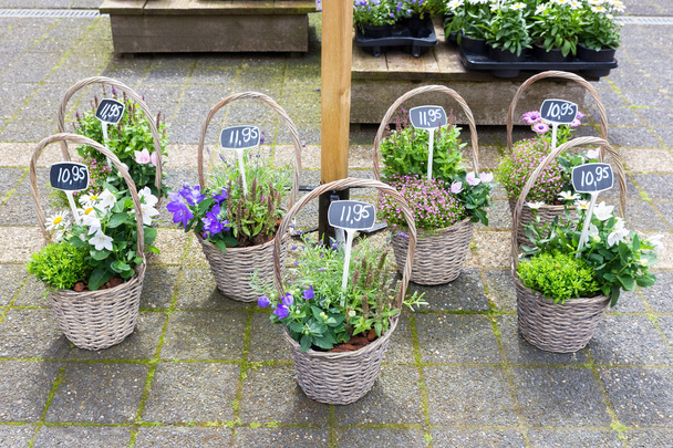 Několik rákosové košíky s kvetoucí rostliny na zemi - Fotografie, Obrázek