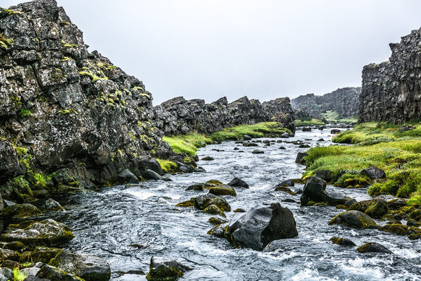 Islandzki rzeki z moss skały - Zdjęcie, obraz