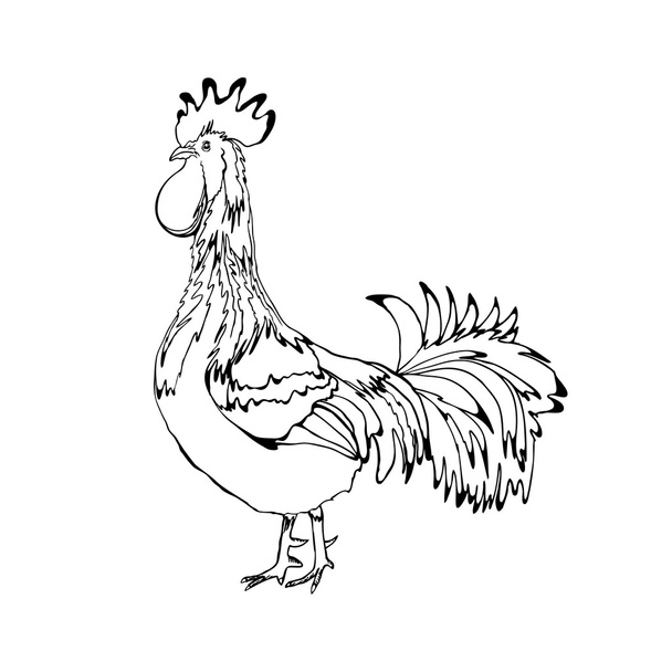 Chinese traditional rooster symbol - Φωτογραφία, εικόνα