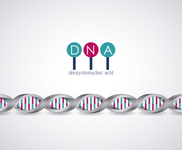 Dna structure chromosome design - Vector, Image