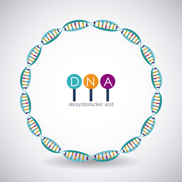 Konstrukce chromozomu DNA kruhu - Vektor, obrázek