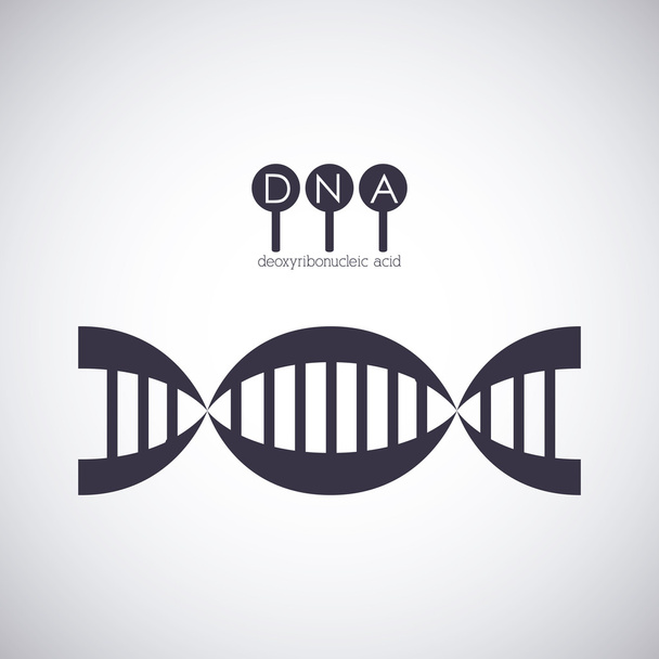Dna 構造染色体設計 - ベクター画像