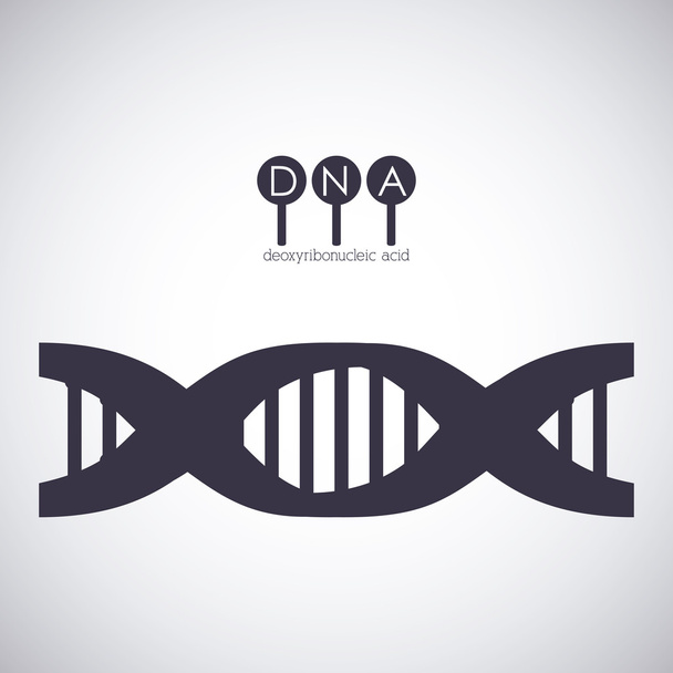 Конструкция хромосом ДНК
 - Вектор,изображение