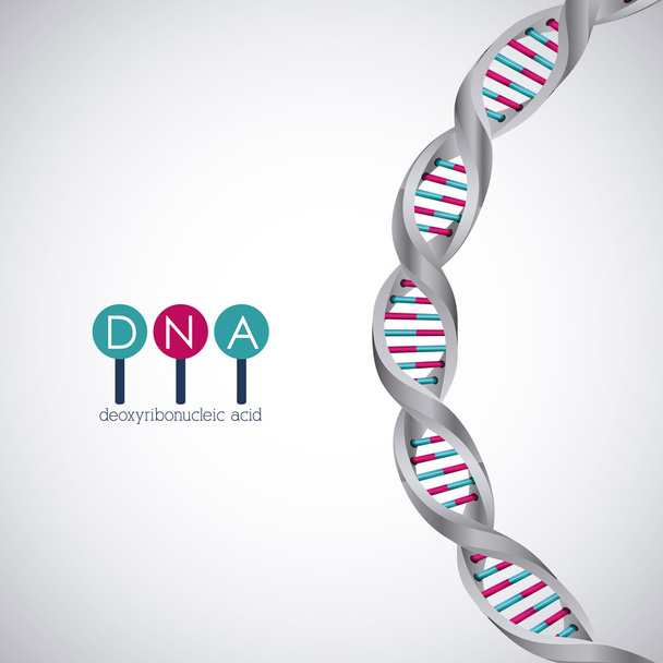 DNA struktury chromosomu design - Wektor, obraz