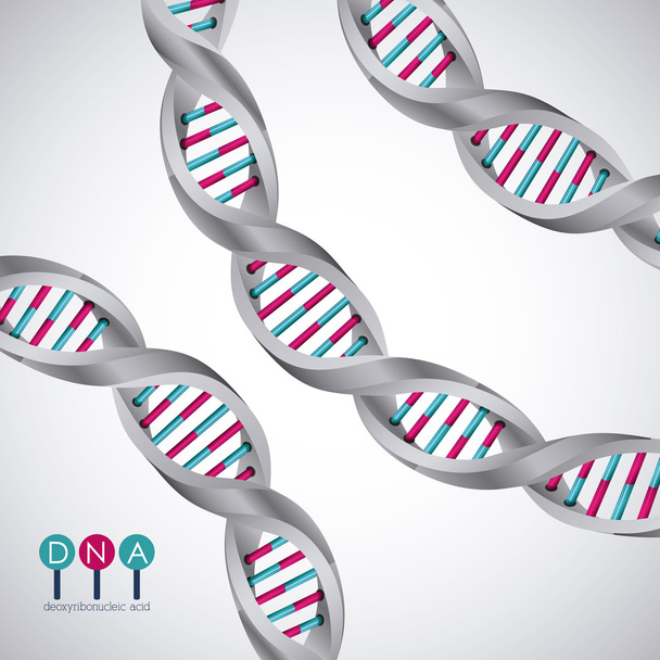 DNA struktury chromosomu design - Wektor, obraz