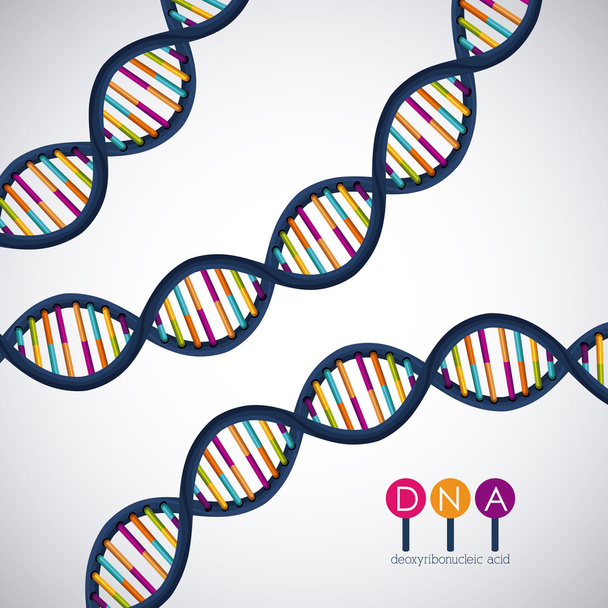 Diseño cromosómico de la estructura del ADN
 - Vector, imagen