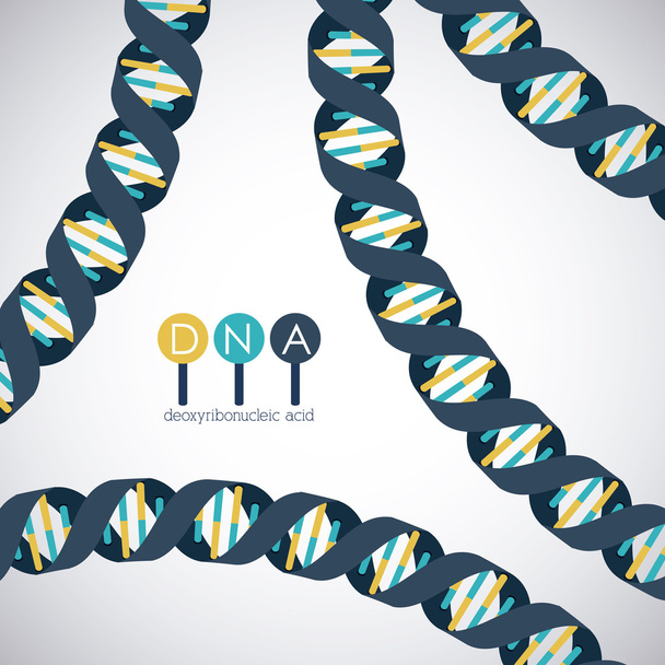 Diseño cromosómico de la estructura del ADN
 - Vector, Imagen