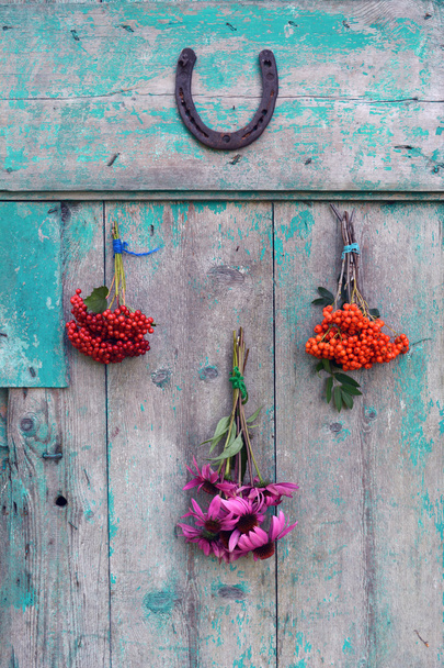 A gyógynövények és a bogyók a horseshoe ajtón csokrok - Fotó, kép