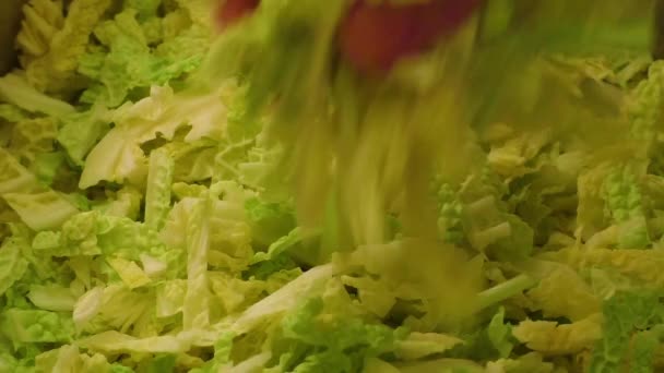 Свіже подрібнене листя капусти
  - Кадри, відео