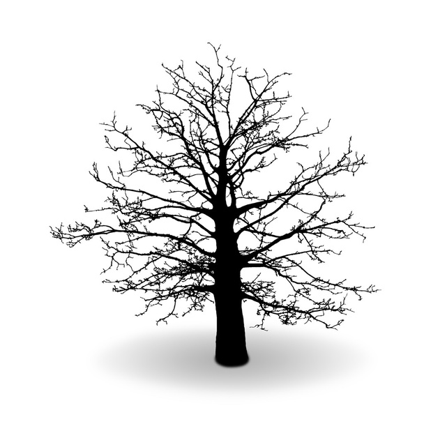 μαύρο δέντρο σιλουέτα απομονώνονται σε λευκό φόντο, διάνυσμα - Διάνυσμα, εικόνα