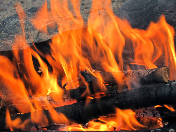 Campfire - Fotografie, Obrázek