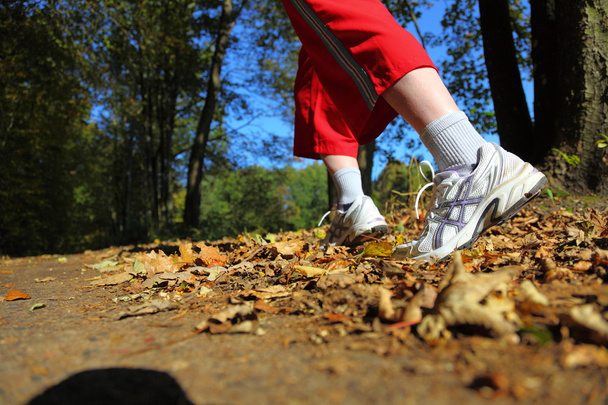 Nainen kävelemässä maastopolkua syksyllä metsässä
 - Valokuva, kuva