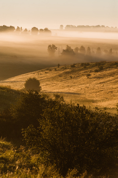 Mlhavé ráno na louce. východ slunce na šířku - Fotografie, Obrázek